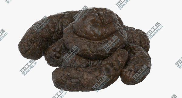 images/goods_img/20210312/Turd Crap 3D model/1.jpg